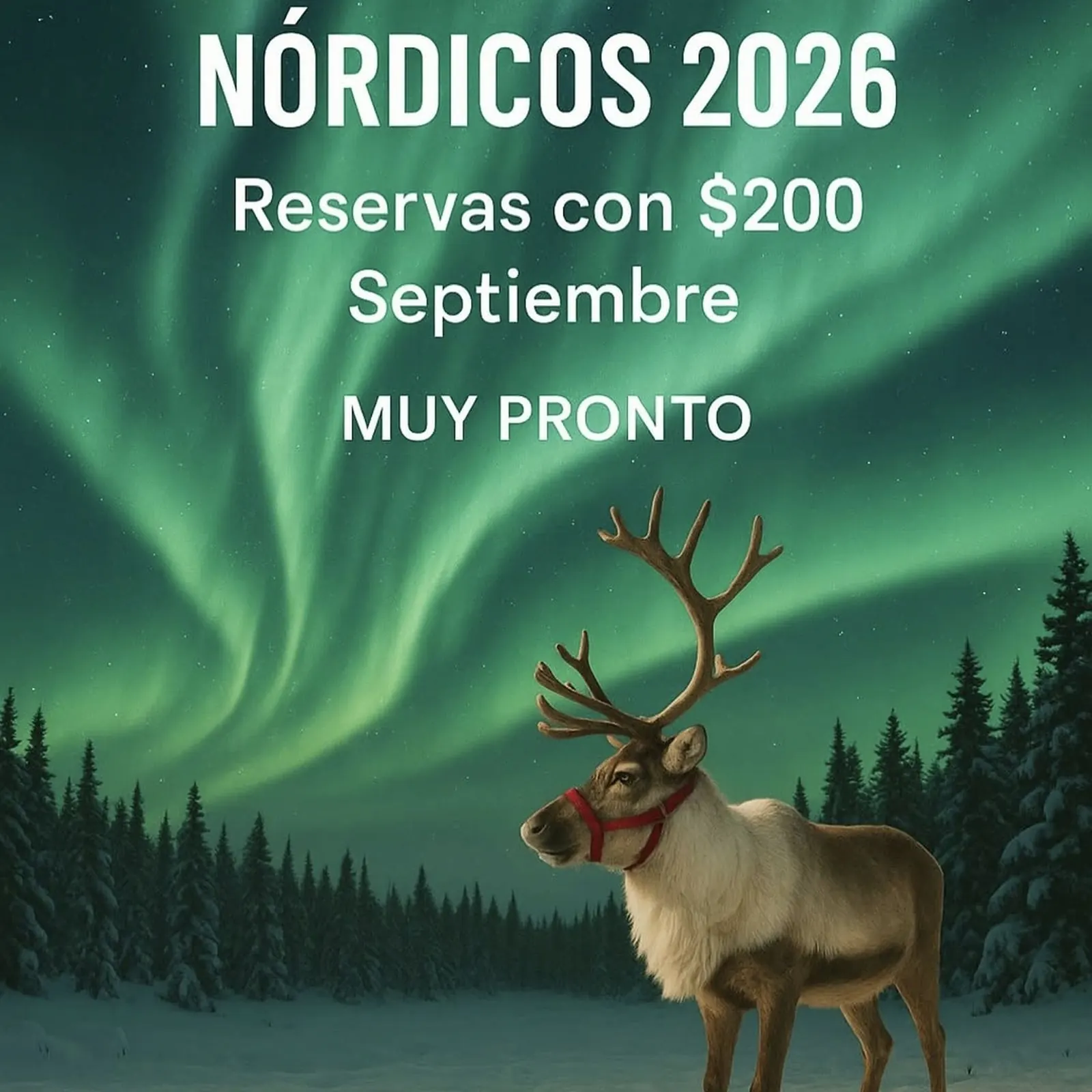 Reno bajo una aurora boreal